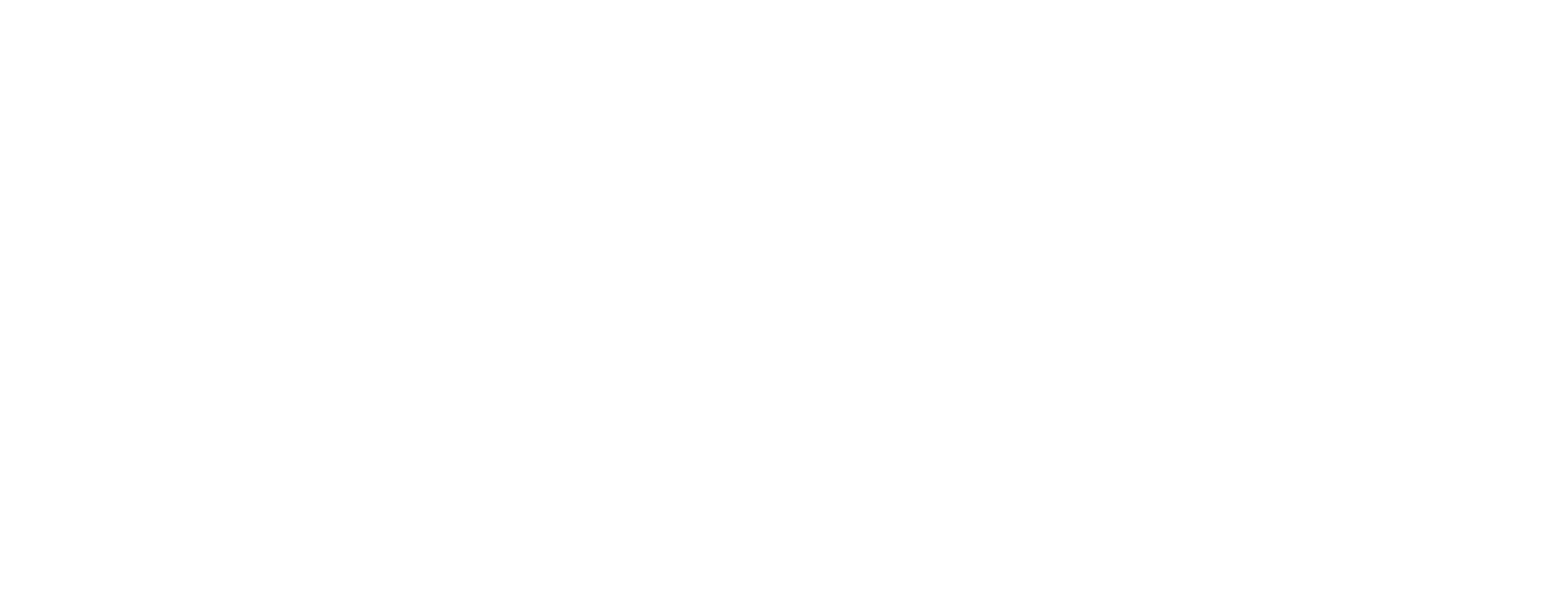 Client 29