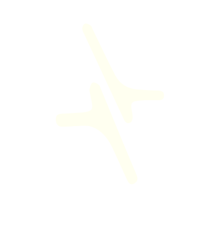 The Internet Company Logo