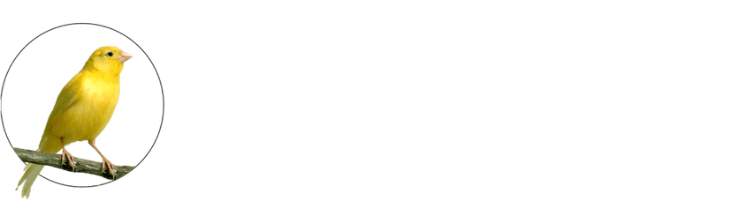 Canary