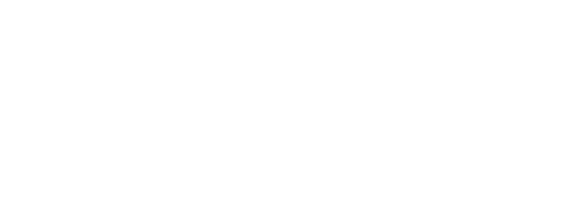 Medium turtles
